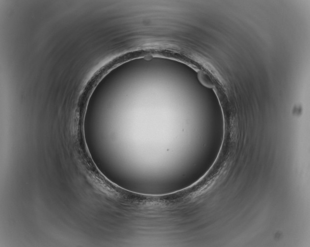 X0000097491021200802221410