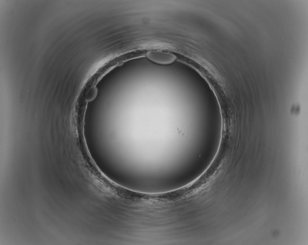 X0000097491022200802221410