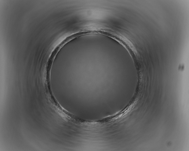 X0000097491023200802221410