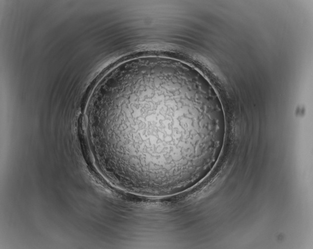 X0000097491025200802221410