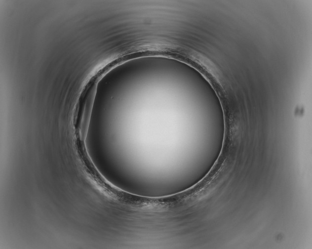 X0000097491026200802221410