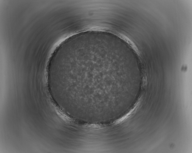 X0000097491027200802221410