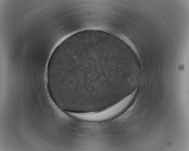 X0000097491028200802221410