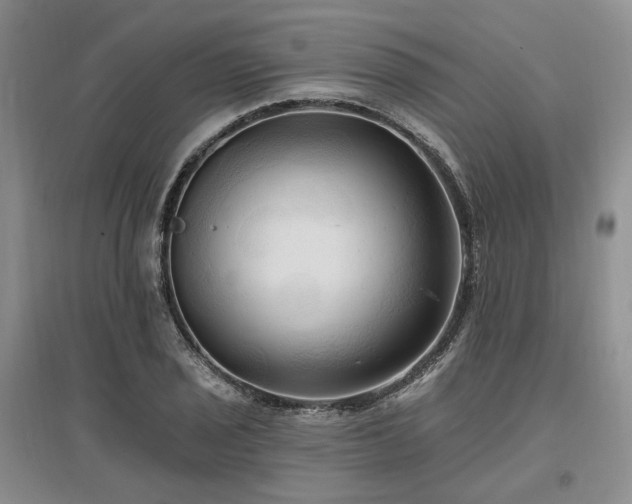 X0000097491029200802221410