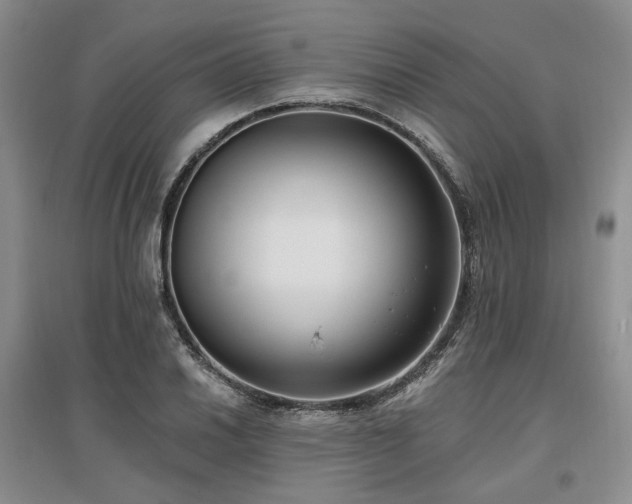 X0000097491030200802221410