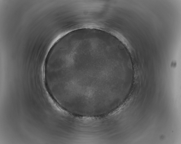 X0000097491032200802221411