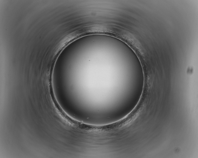 X0000097491033200802221411