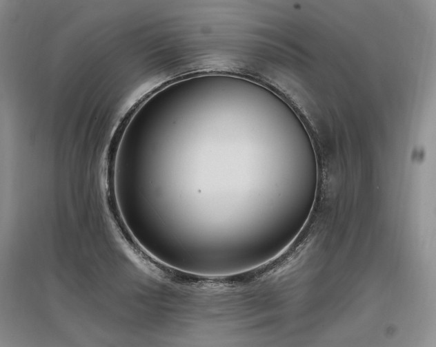 X0000097491034200802221411
