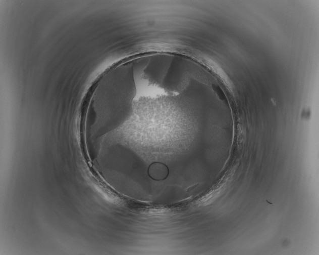 X0000097491035200802221411