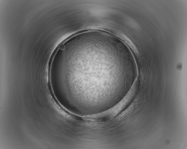 X0000097491036200802221411