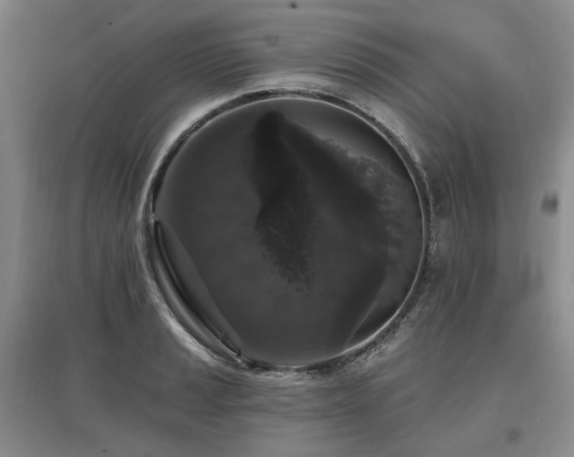 X0000097491037200802221411