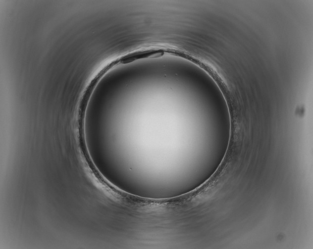 X0000097491038200802221411