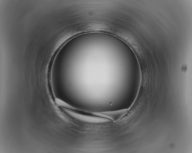 X0000097491039200802221411