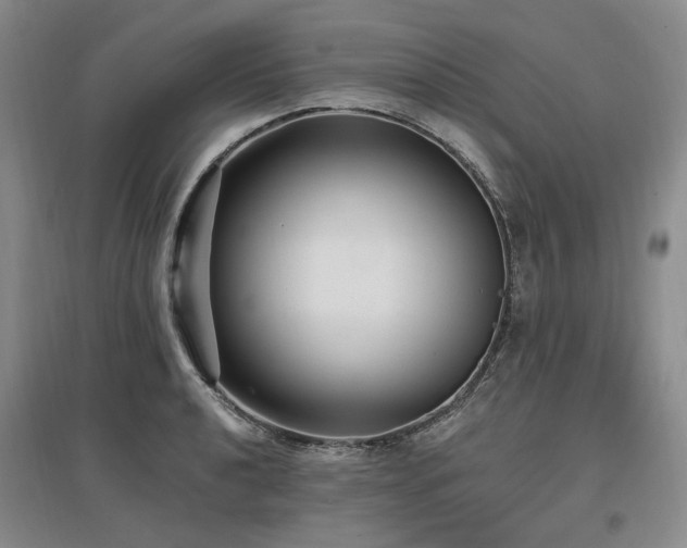 X0000097491040200802221411