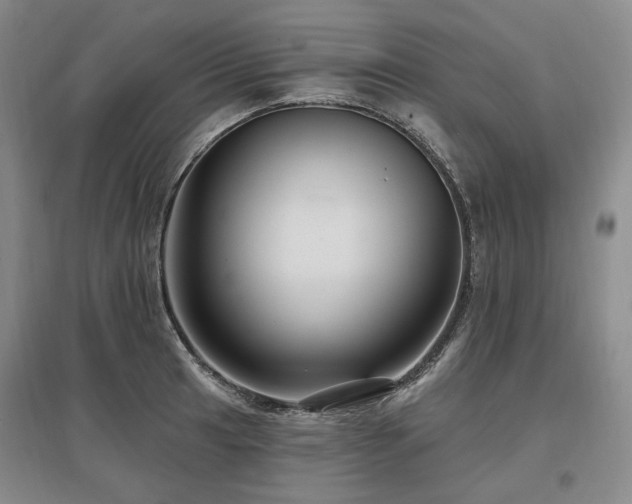 X0000097491041200802221411