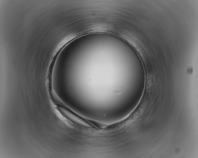 X0000097491042200802221411