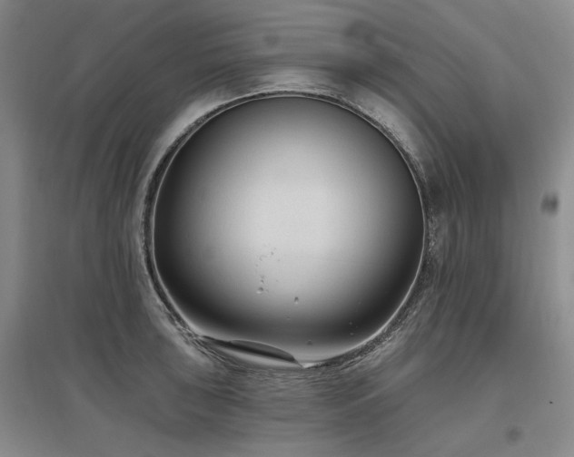 X0000097491043200802221411