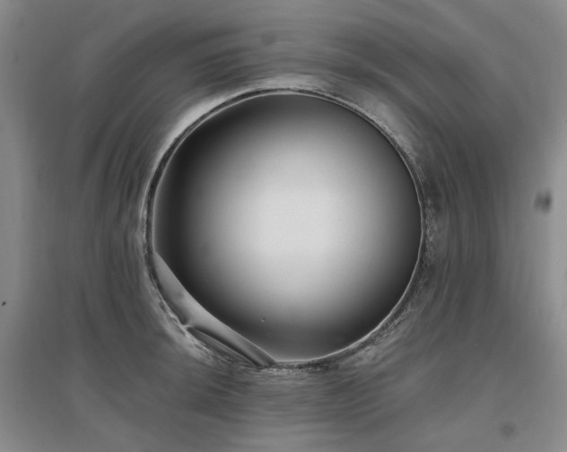 X0000097491044200802221411