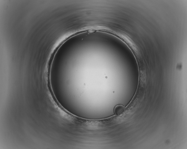 X0000097491046200802221411
