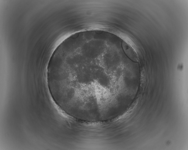 X0000097491047200802221411
