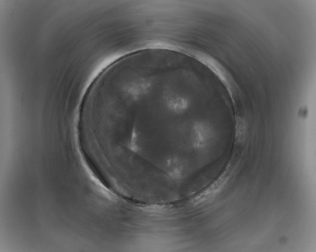 X0000097491048200802221411