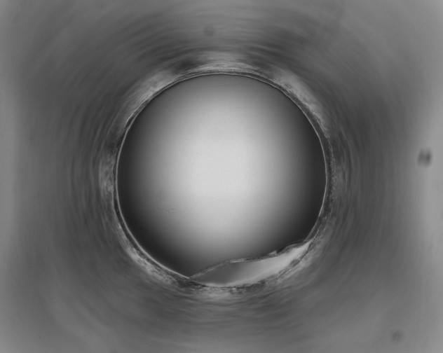 X0000097491049200802221411