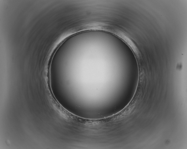 X0000097491051200802221411