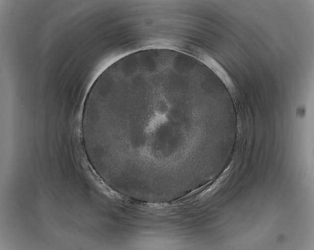X0000097491052200802221411