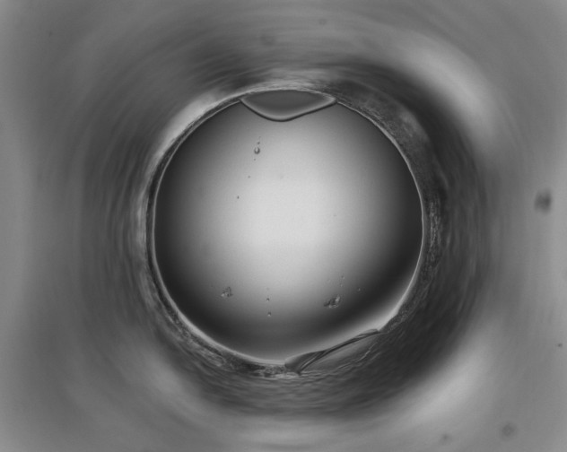 X0000097491054200802221411