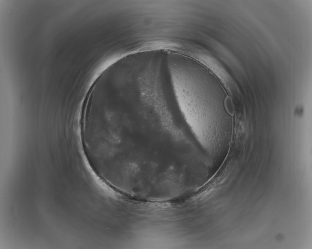 X0000097491055200802221411