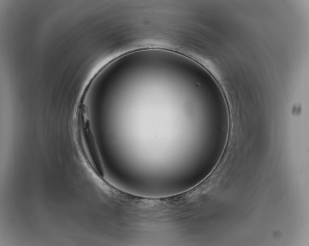 X0000097491056200802221411