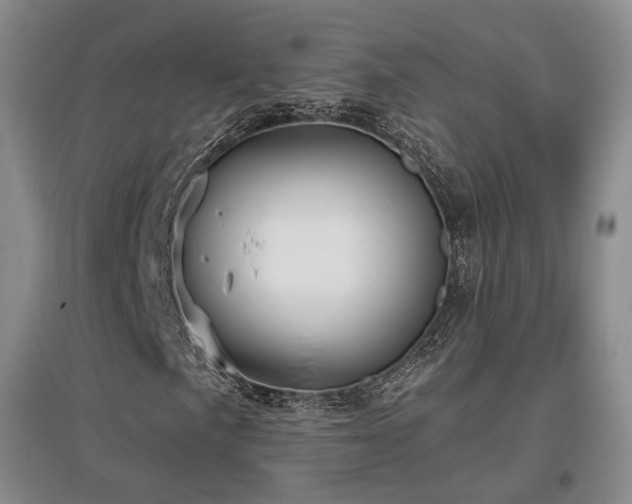 X0000097491057200802221410