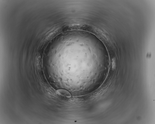 X0000097491059200802221410