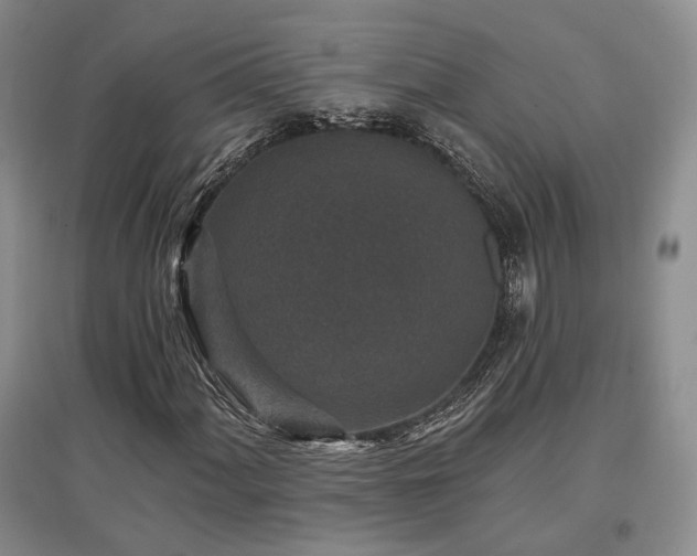 X0000097491060200802221410