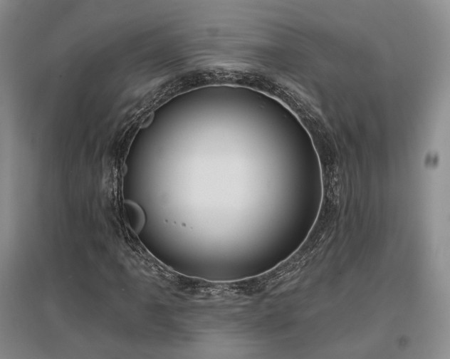 X0000097491061200802221410