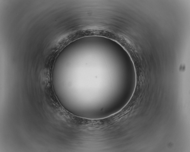 X0000097491062200802221410