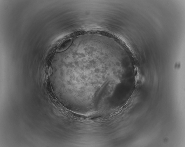 X0000097491063200802221410