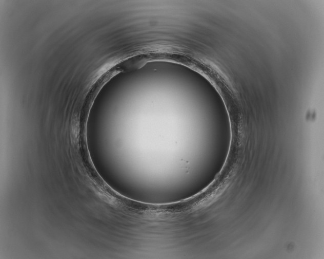 X0000097491065200802221410