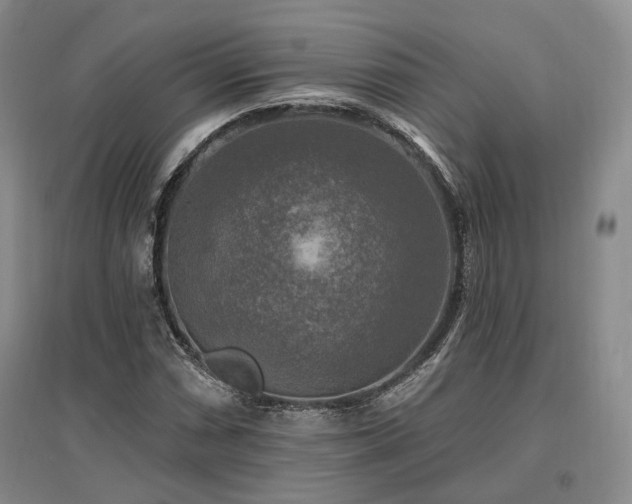 X0000097491066200802221410