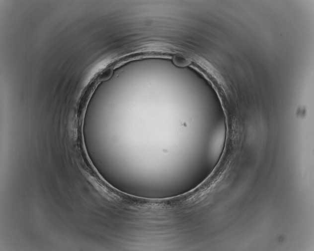 X0000097491067200802221410