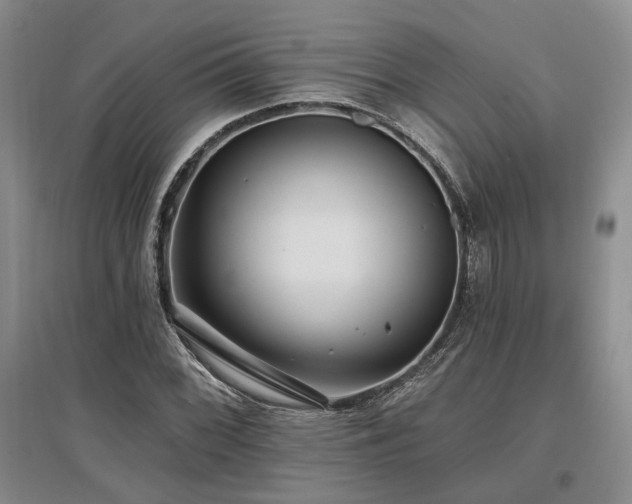 X0000097491068200802221410