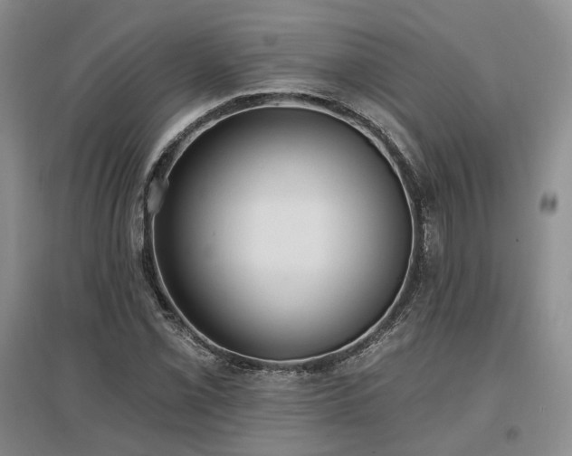 X0000097491069200802221410