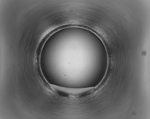 X0000097491070200802221410
