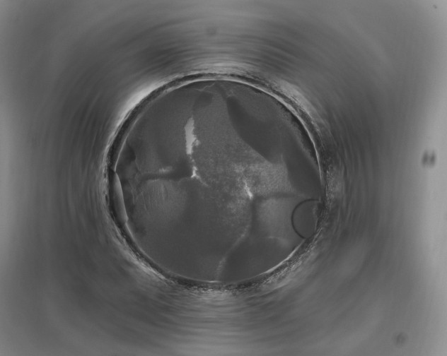 X0000097491071200802221410
