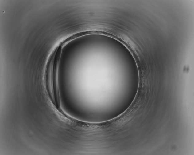 X0000097491072200802221410