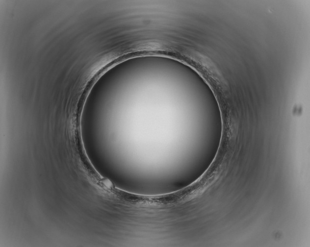 X0000097491073200802221410