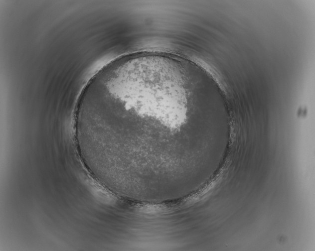 X0000097491074200802221410
