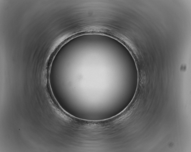 X0000097491075200802221410