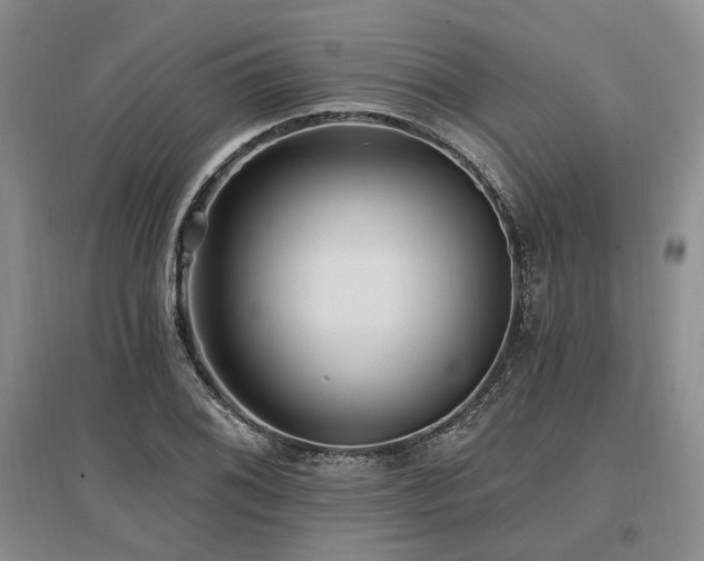 X0000097491076200802221410