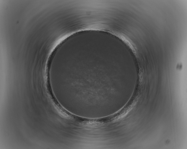X0000097491077200802221410